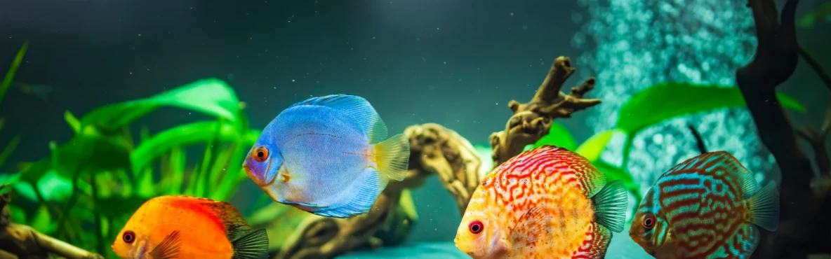 Aqua Terra Zoo Vienna – Family Wildlife Adventure