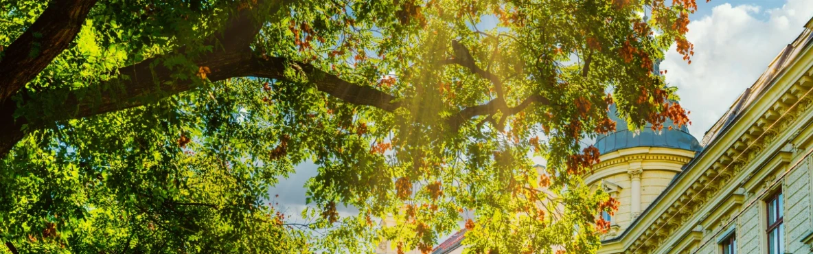 Michelbeuern Vienna – Hidden Local Spot